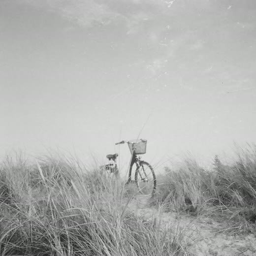 Bicycle in the dunes, 35mm
