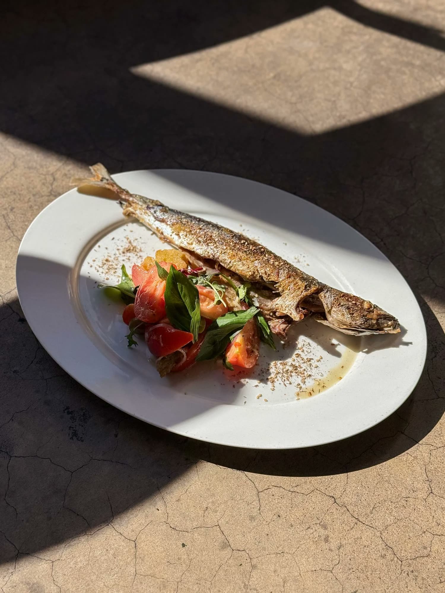 Crabshakk — whole fish under hard afternoon sun