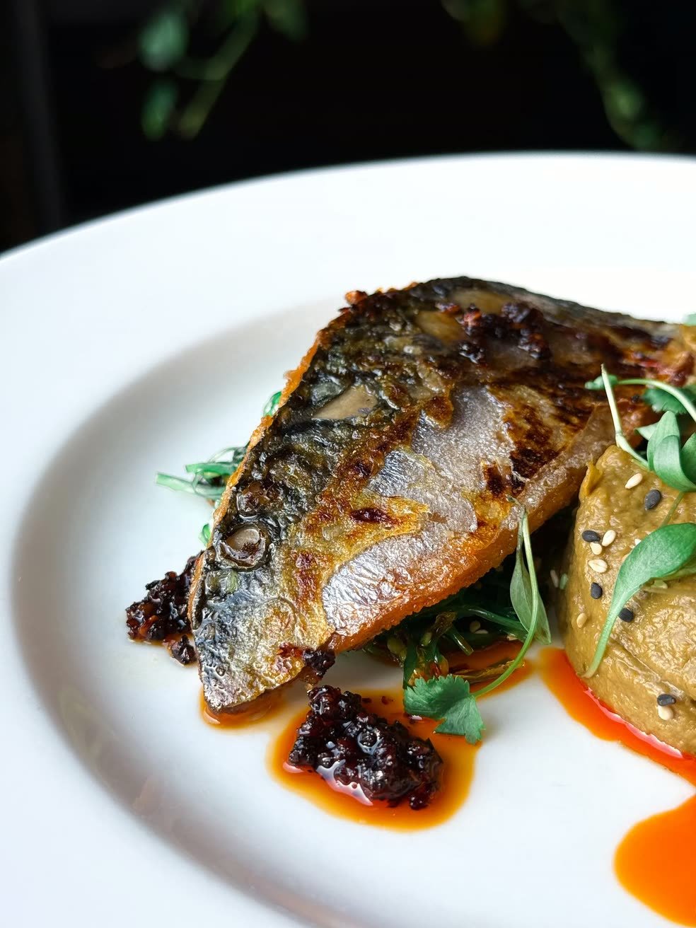 Crabshakk — mackerel with aubergine and chilli