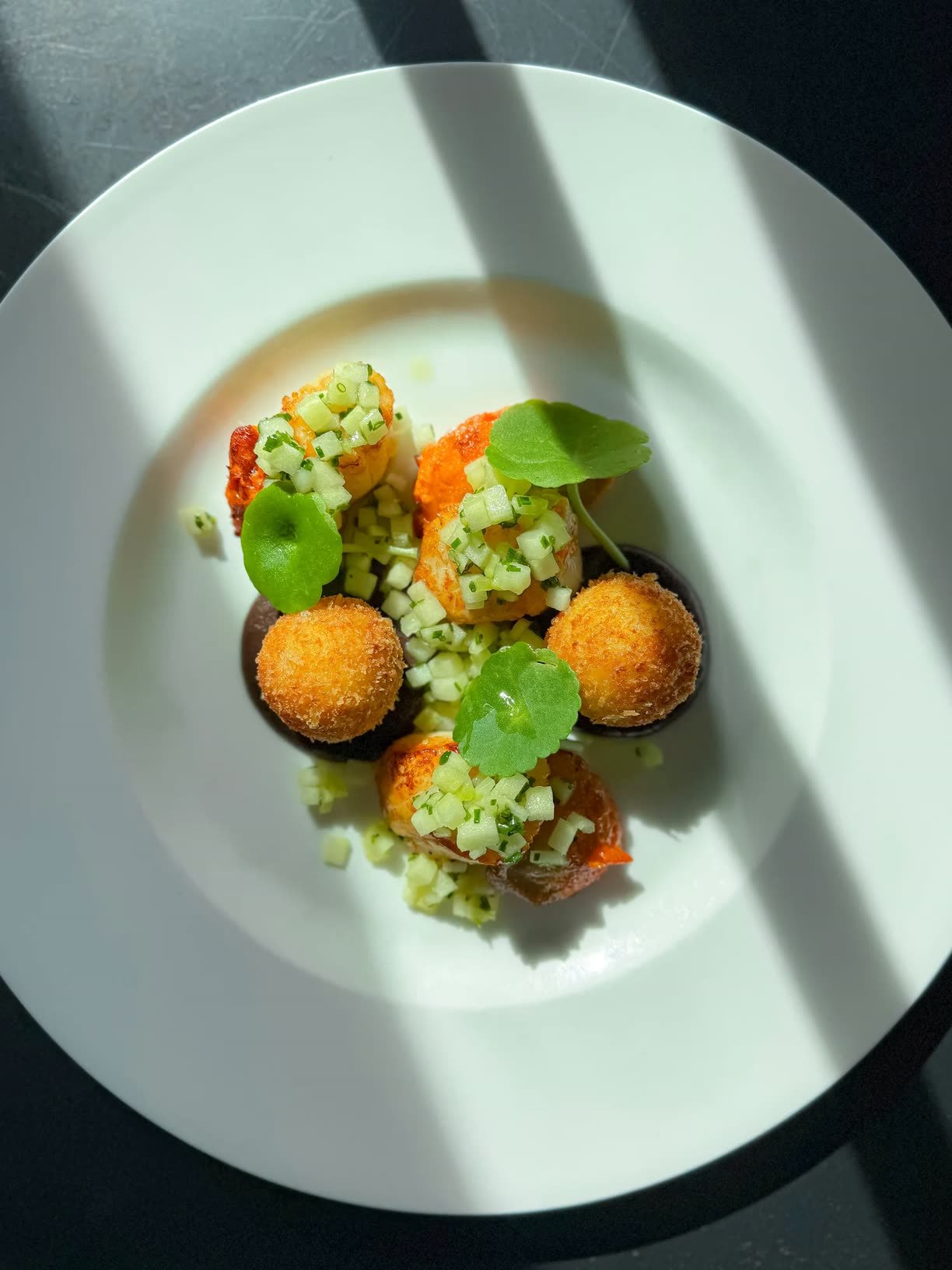 Crabshakk — croquettes in hard shadow